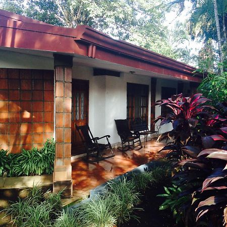 Hotel Villas Colibri Las Ciruelas  외부 사진