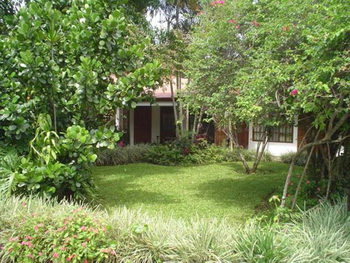 Hotel Villas Colibri Las Ciruelas  외부 사진